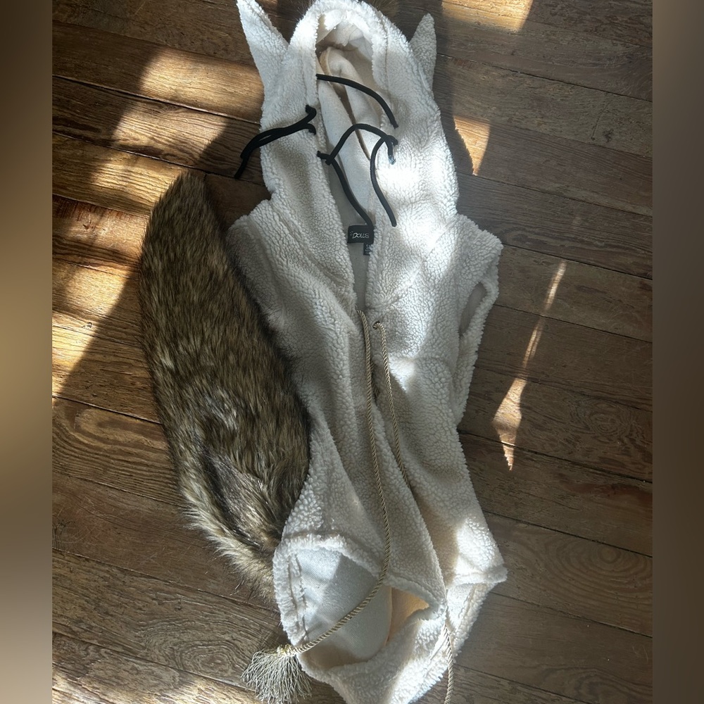 Dolls Kill “Where the Wild Things Are” Max costume - Size Small. only worn once!